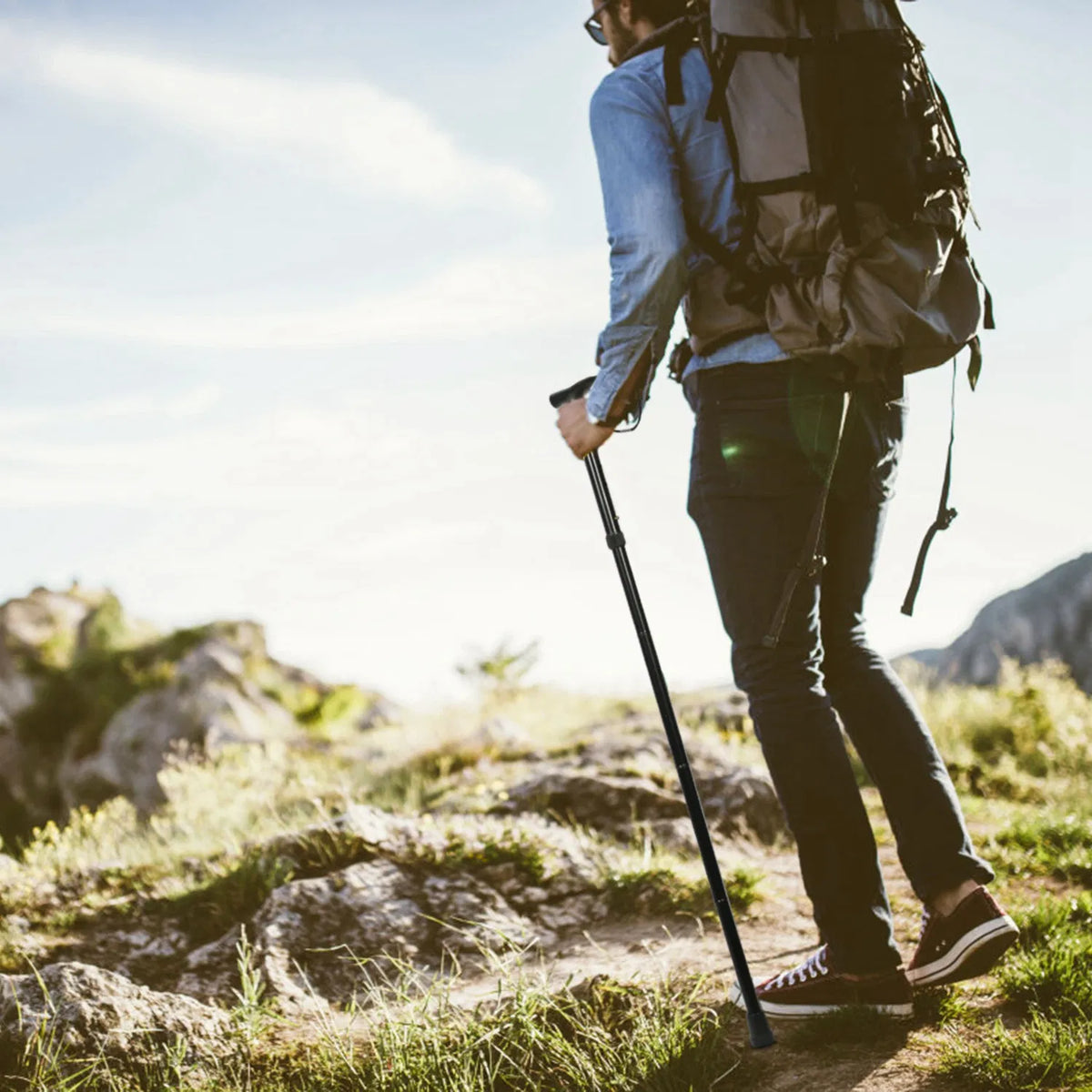 Folding Trekking Pole - view 8